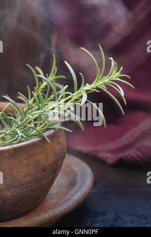 Rosmarin in Ton Schüssel auf rustikalen Hintergrund. Textfreiraum Stockfoto