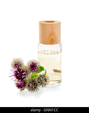 Eine Ölflasche mit Blüten und Blättern der Klette isoliert auf weißem Hintergrund Stockfoto
