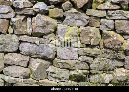 Cumbria, England, UK.  Moderne Steinmauer Bau Abgrenzung von den Feldern auf der Hadrianswall Fußweg. Stockfoto