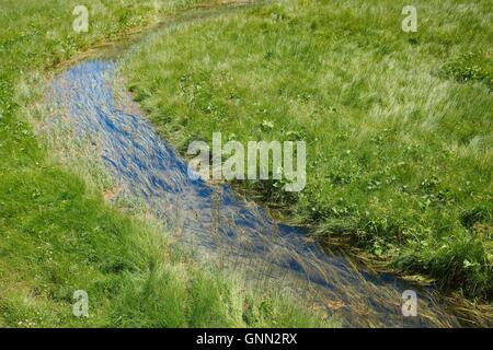 Kleine Bach fließt Stockfoto