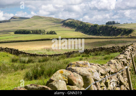 Northumberland, England, Vereinigtes Königreich.  Blick auf Winshield Felsen, Hadrianswall (Pennine Way) Wanderweg. Stockfoto