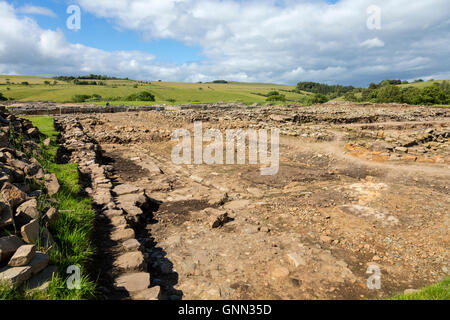 Northumberland, England, Vereinigtes Königreich.  Vindolanda Roman Fort, laufenden aktuellen Ausgrabungen. Stockfoto