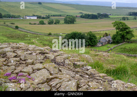 Northumberland, England, Vereinigtes Königreich.  Einmal von der Hadrianswall (Pennine Way) Fußweg gebraut. Stockfoto