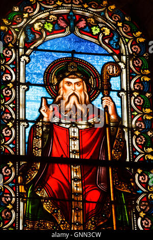 Glasfenster, Kirche. Eglise Saint Sauver de Saint Macaire. Gironde Frankreich Europa Stockfoto