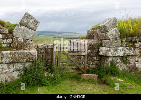 Northumberland, England, Vereinigtes Königreich.  Milecastle 37 mit bleibt der Bogen über Tor öffnen im Norden. Stockfoto