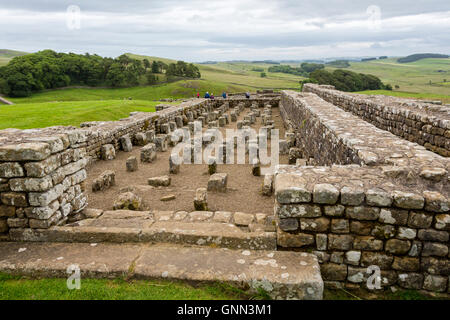 Northumberland, England, Vereinigtes Königreich.  Getreidespeicher in Housesteads römischen Festung (Vercovicium). Stockfoto