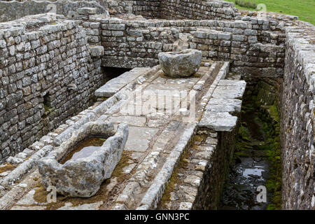 Northumberland, England, Vereinigtes Königreich.  Latrinen, Housesteads Roman Fort (Vercovicium). Stockfoto