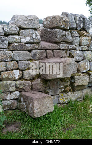 Northumberland, England, Vereinigtes Königreich.  Eine Schritt-Stil Kreuzung über eine Mauer auf dem Hadrianswall Fußweg. Stockfoto