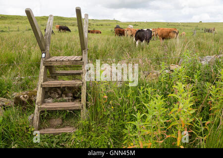 Northumberland, England.  Leiter-Stile auf Weg zum Brocolitia Kyniker Tempel (Tempel der Carrawburgh des Mithras).  Der Hadrianswall. Stockfoto