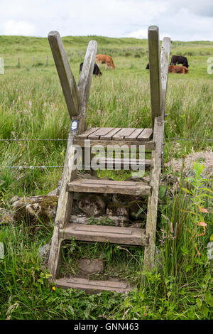 Northumberland, England.  Leiter-Stile auf Weg zum Brocolitia Kyniker Tempel (Tempel der Carrawburgh des Mithras).  Der Hadrianswall. Stockfoto