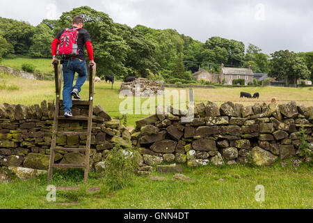 Northumberland, England, Vereinigtes Königreich.  Wanderer durchqueren einen Ladder-Stil über ein Landwirt Zaun am Hadrianswall Fußweg. Stockfoto