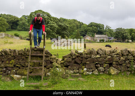 Northumberland, England, Vereinigtes Königreich.  Wanderer durchqueren einen Ladder-Stil über ein Landwirt Zaun am Hadrianswall Fußweg. Stockfoto