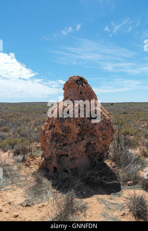 Termite Hügel am Cape Range Nationalpark in Western Australia - Australien Stockfoto