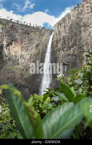 Berühmten Wallaman Falls im Girringun Nationalpark, Queensland - Australien Stockfoto