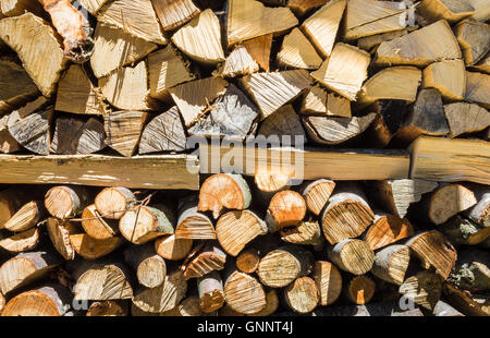 Feuer-Holz-Lager für den winter Stockfoto