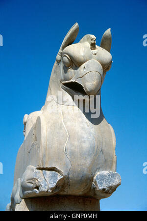 Achaemenid-Reich. Ca. 550-330 AC Iran. Persepolis (Taknt-e-Jamshid). Zoomorphe Griffin Capital. Stockfoto