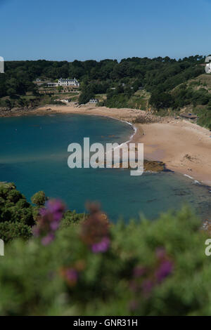 Malerische Aussicht auf Portelet Bay Beach, Jersey, Kanalinseln, Stockfoto