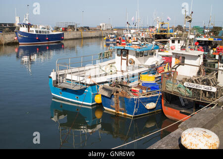 Angeln und Farne Islands Reise Ausflugsboote in gemeinsame Hafen Northumberland-England-Großbritannien Stockfoto