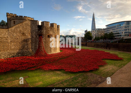 Der Wassergraben des Tower of London ist in einem Meer von Mohn zum Gedenken an den hundertsten Jahrestag des Ausbruchs des ersten Weltkriegs bedeckt. Stockfoto