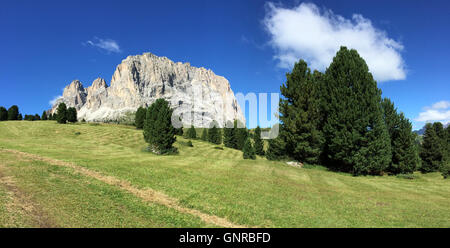 Landschaften der Dolomiten in einem sonnigen Sommertag mit Wiese und Bäumen, Italien Stockfoto