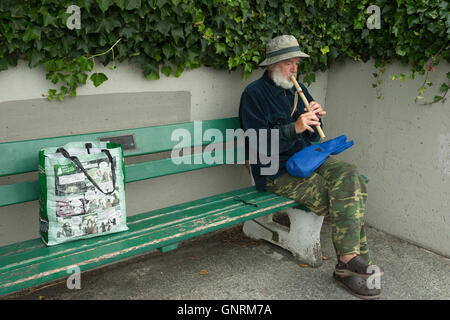 Mann Flötenspiel auf Bank im frühen Morgen-Victoria, British Columbia, Kanada. Stockfoto
