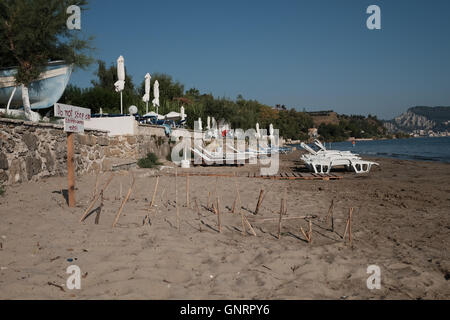 Turtle Nest geschützt am Strand in Zakynthos Griechenland Stockfoto