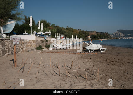 Turtle Nest geschützt am Strand in Zakynthos Stockfoto