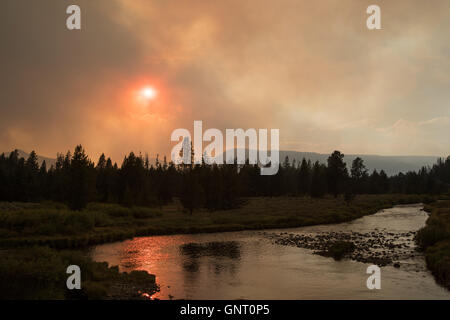 Rauch Vom Feuer Im Yellowstone National Park Stockfotografie Alamy