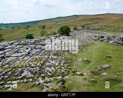 Die Clints und Grykes ein Kalkstein Pflaster über Malham Cove, außerhalb des Dorfes Malham, Yorkshire Dales National Park Stockfoto