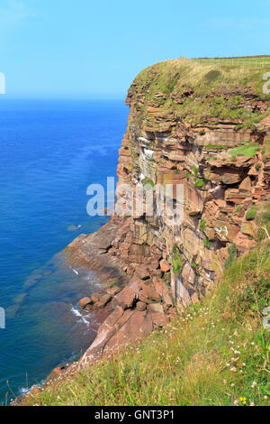 Roten Sandsteinfelsen von der RSPB reservieren bei St. Bees Head, Cumbria, England, UK. Stockfoto