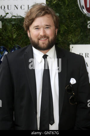 12. Juni 2016 - Haley Joel Osment Teilnahme an einer für die jungen Mode Ball 2016 um Victoria & Albert Museum in London, Vereinigtes Königreich. Stockfoto