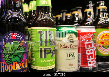 Abschnitt "Craft Beer" am Wegmans Lebensmittelgeschäft, Westwood, Massachusetts, USA Stockfoto