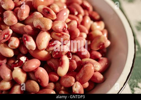 Ansazi Beans, einem typisch amerikanischen Ureinwohner Essen, getränkt und bereit zum Kochen Stockfoto