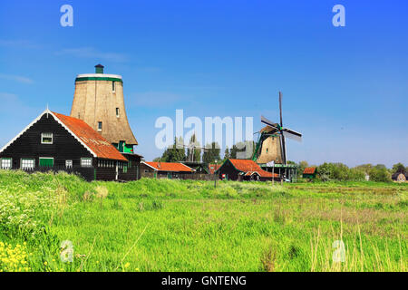 Windmühlen in Holland Stockfoto