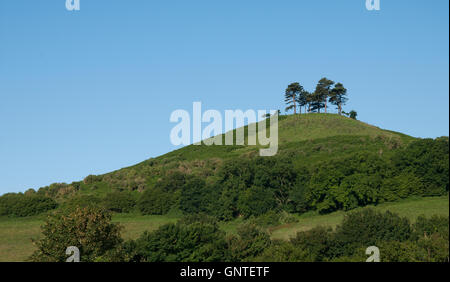 Colmer Hügel, Symondsbury, in der Nähe von Bridport, Dorset. Stockfoto