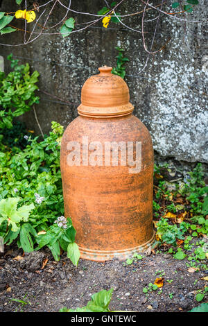 Typische altmodische Terrakotta Rhabarber zwingt Topf in einen Gemüsegarten Stockfoto