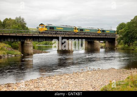 Class 66 Freightliner Güterzüge. South Tyne, Ridley Hall Eisenbahnbrücke, Bardon Mühle, Newcastle & Carlisle Railway UK. Stockfoto