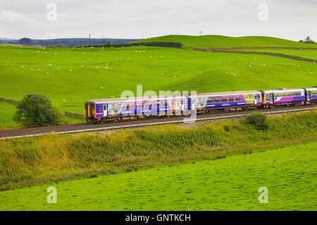 Klasse, super 156 Sprinter Zug und Klasse 142 Pacer Zug auf einem Damm. Gilsland, Cumbria, England, Vereinigtes Königreich, Europa. Stockfoto