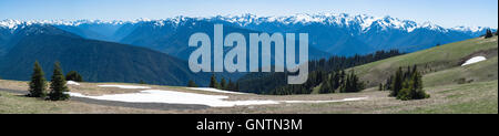 Panorama-Blick auf einen schönen Tag am Hurricane Ridge in Olympic Nationalpark, Washington, USA Stockfoto