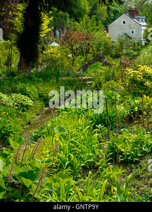 Blick über den Kaskaden-Garten in Bonsall nahe Matlock in Derbyshire Dales Peak District England Großbritannien Stockfoto