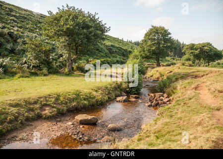 Einen malerischen Blick auf den Beck und den Wald auf Sheepwash in der Nähe von Osmotherly, North Yorkshire, England Stockfoto