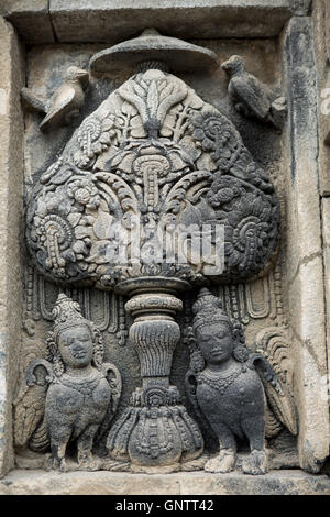 Hindu-Tempel Schnitzereien an den Prambanan UNESCO-Weltkulturerbe in Java Stockfoto