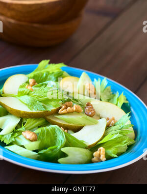 Frischem Sellerie, Birne und Walnuss Salat auf blaue Platte, fotografiert mit natürlichem Licht (Tiefenschärfe) Stockfoto