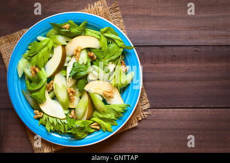 Frischem Sellerie, Birne und Walnuss Salat auf blaue Platte, über Kopf fotografiert, mit natürlichem Licht (Tiefenschärfe) Stockfoto