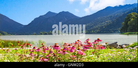 Promenade des Sees Schliersee - Bayern, Deutschland Stockfoto