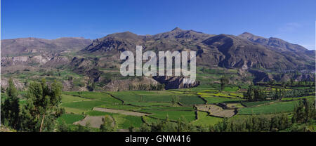 Colca Canyon Panorama, Peru, Südamerika. Inkas, Terrassenfelder zu bauen. Stockfoto