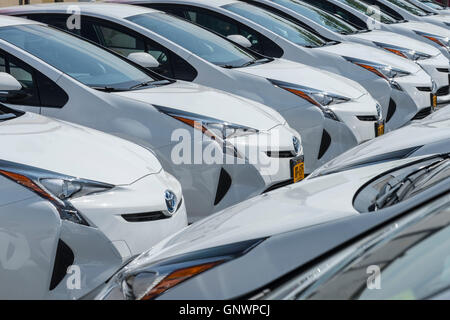 Reihen von weißen Autos im Autohaus Parkplatz Stockfoto