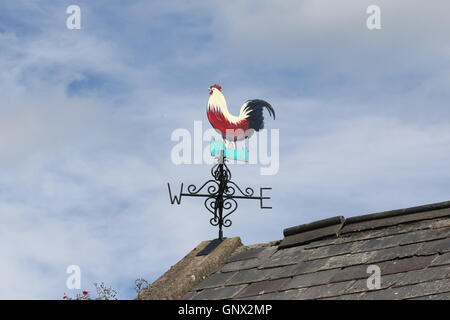 Hahn-förmigen Wetterfahne auf landwirtschaftlichen Nebengebäude in Nordirland Stockfoto