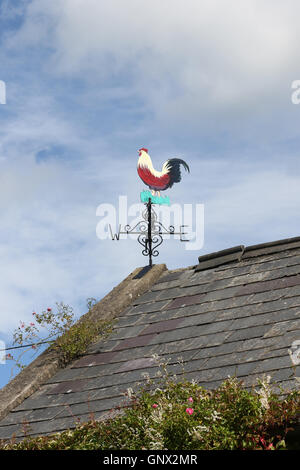 Hahn-förmigen Wetterfahne auf landwirtschaftlichen Nebengebäude in Nordirland Stockfoto