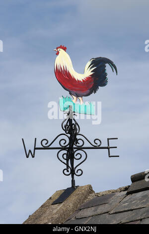 Hahn-förmigen Wetterfahne auf landwirtschaftlichen Nebengebäude in Nordirland Stockfoto